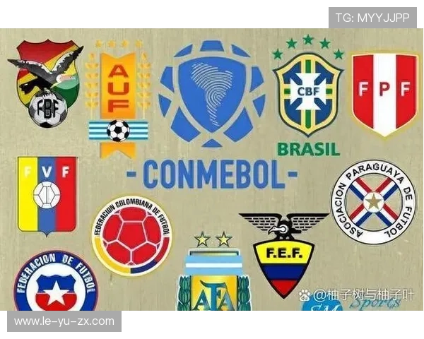 阿根廷南美区世预赛领跑，厄瓜多尔紧随其后夺第二名！